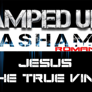 The Amped Up Life: Jesus The True Vine