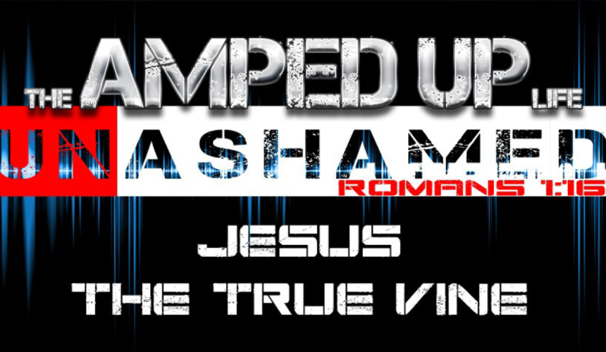 The Amped Up Life: Jesus The True Vine
