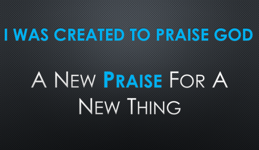 Summer Days of Praise: I Was Created To Praise God